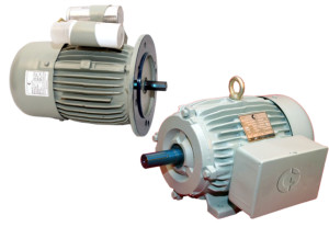 Single Phase CI Body Motors